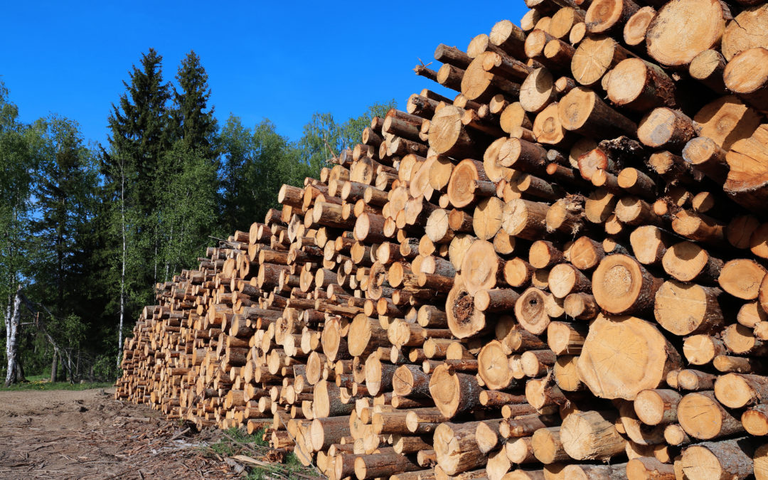 Soutien au bois d’oeuvre: un accueil positif