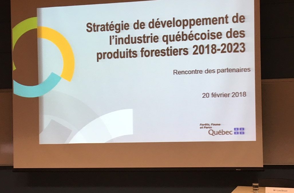 Stratégie de développement de l’industrie québécoise des produits forestiers pour la période 2018-2023 – La FIM participe aux échanges